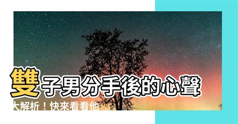 雙子分手後|雙子座提分手後的關係解析：如何面對與處理？